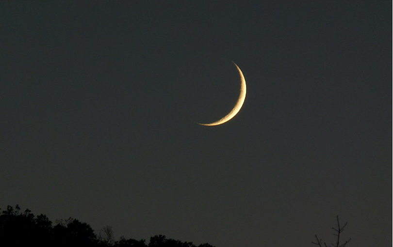 Where is the Term "New Moon" Found in Scripture?