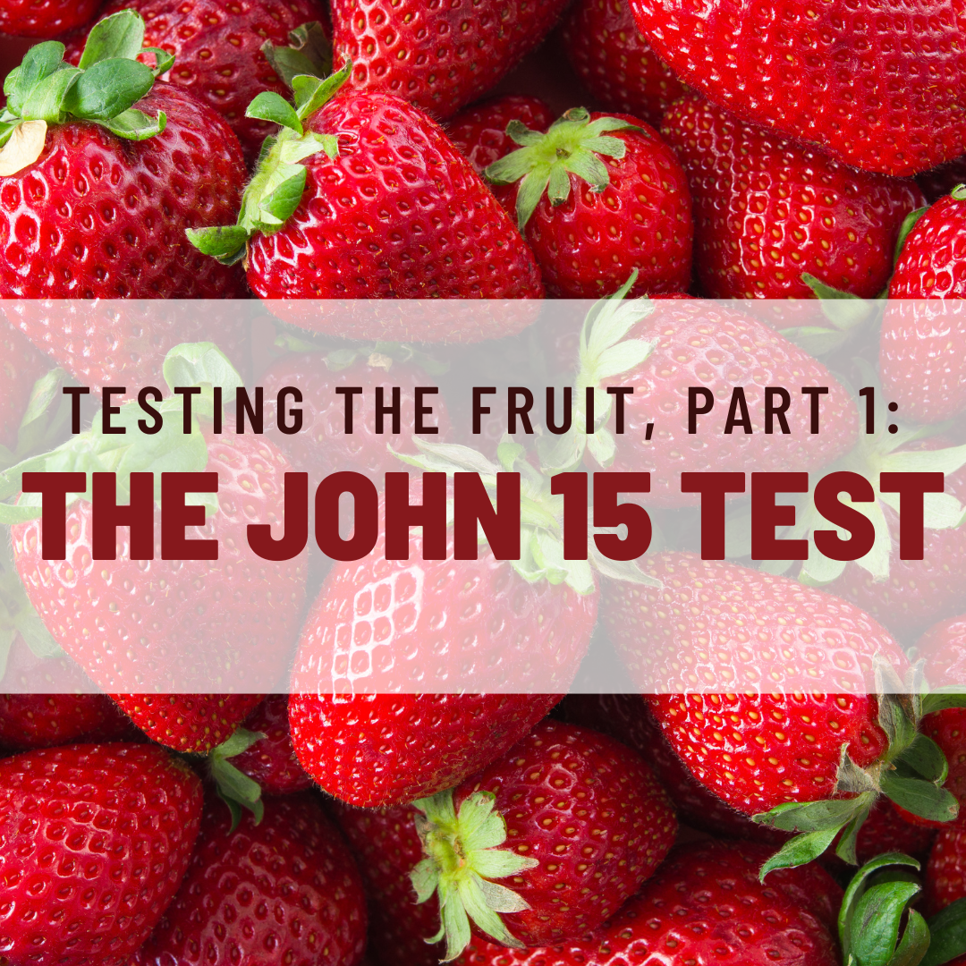 Testing the Fruit, Part 1: The John 15 Test