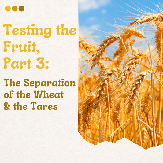 Testing the Fruit, Part 3: The Separation of the Wheat & the Tares